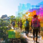 Unlocking the Potential of National Parks: How Visitor Movement Data Enhances Marketing